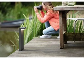 Philips - LED Vonkajšia lampa BUSTAN LED/3,8W/230V 77 cm IP44