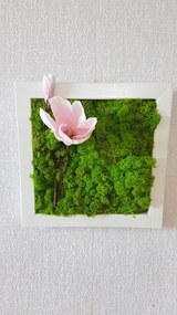 Machový obraz v bielom ráme 33cm x 33cm