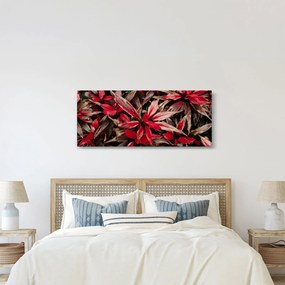 Obraz červených okvetných lístkov (120x50 cm)