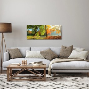Obraz - Pokojná jesenná krajina (120x50 cm)