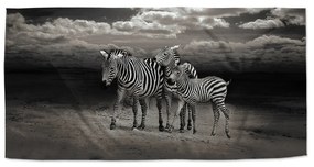 Sablio Uterák Zebry - 50x100 cm