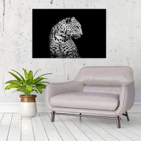 Obraz - Leopard (90x60 cm)