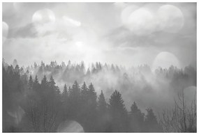 Samolepiaca fototapeta čiernobiela hmla nad lesom