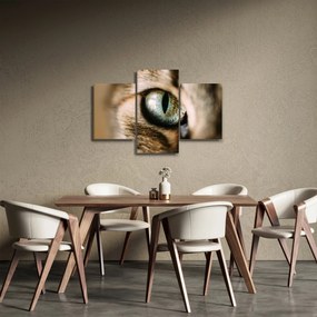 Obraz - Mačacie oko (90x60 cm)