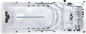 Swim spa Platinum Spas Zelus