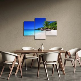 Obraz pláže na Praslin ostrove (90x60 cm)