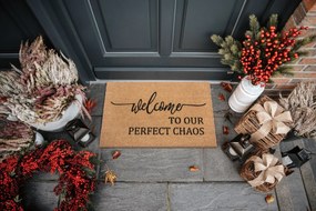 Hanse Home, Rohožka Welcome to our perfect chaos 105702 – na von aj na doma, 45x70, hnedá, chodba / predsieň