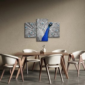 Obraz - modrý páv (90x60 cm)
