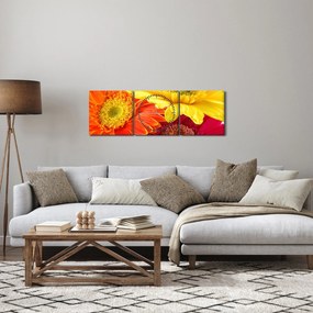 Obraz - Kvety Gerbery (s hodinami) (90x30 cm)