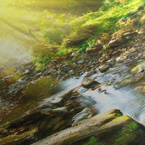 Obraz rieky v zelenom lese (150x105 cm)