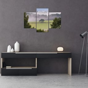 Obraz lúky so stromom (90x60 cm)