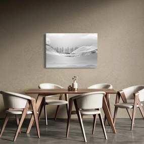 Obraz - Strieborná krajina (90x60 cm)