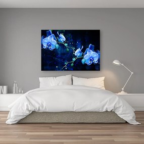 Obraz na plátně, Modrý orchidej - 100x70 cm