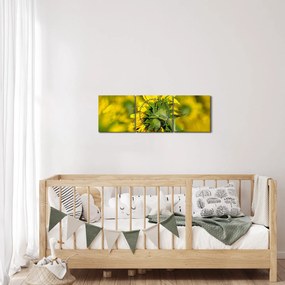 Obraz slnečnice (s hodinami) (90x30 cm)