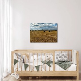 Obraz zozbieraného obilného poľa (70x50 cm)