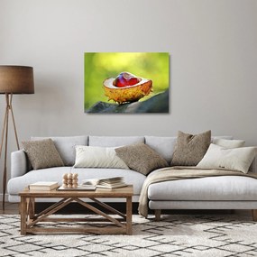 Sklenený obraz gaštanov (70x50 cm)