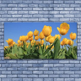 Obraz plexi Tulipány kvety rastlina 120x60 cm