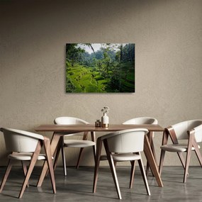 Sklenený obraz ryžových terás Tegalalang, Bali (70x50 cm)