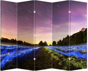 Paraván - Farebné polia (210x170 cm)