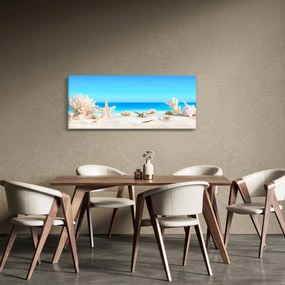 Obraz - Zátišie s mušľami (120x50 cm)