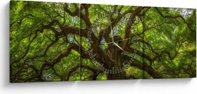 Obraz - Zelený strom (s hodinami) (90x30 cm)