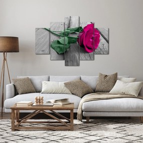 Obraz - Ružová ruža so zelenou stonkou (150x105 cm)