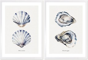 Nástenné dekorácie v rámoch Oyster, 2 ks
