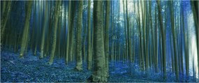 Obraz - Modrý les (120x50 cm)