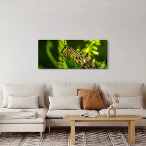 Obraz hmyzu (120x50 cm)