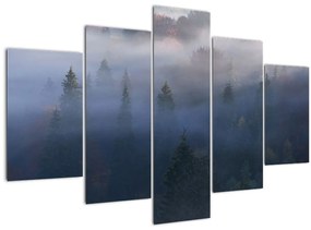 Obraz - Les v hmle, Karpaty, Ukrajina (150x105 cm)