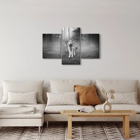 Obraz - Strážca lesa, čiernobiely (90x60 cm)