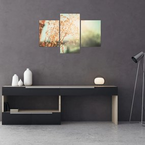 Obraz - Rastliny po daždi (90x60 cm)