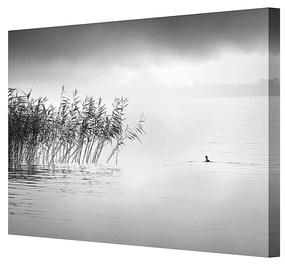 Plátno maľba By the Lake II