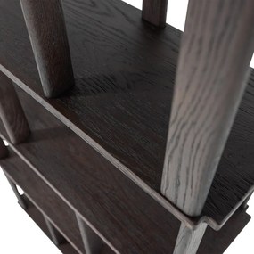 Tmavohnedá knižnica z dubového dreva 90x186x30 cm Riss – WOOOD