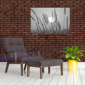 Obraz - Lúka pri západe slnka (90x60 cm)