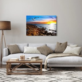 Obraz - Čajka letiaca nad pobrežím (90x60 cm)