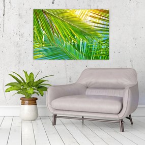 Obraz - Palmové listy (90x60 cm)