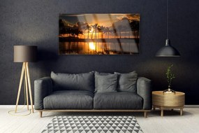 Obraz na akrylátovom skle Stromy slnko krajina 120x60 cm