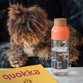 Plastová fľaša Ice Birds 720 ml
