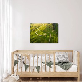 Obraz - Náhorná lúka (70x50 cm)