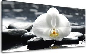 Obraz na stenu PANORÁMA FENG SHUI FS018E13