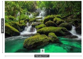 Fototapeta Vliesová Vodopád v džungli 208x146 cm