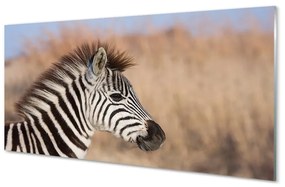 Sklenený obraz zebra 125x50 cm