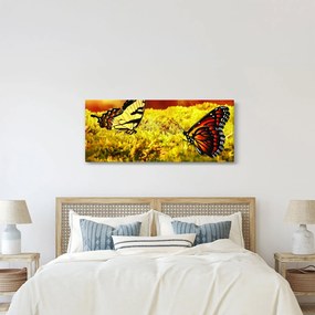 Obraz motýľov (120x50 cm)