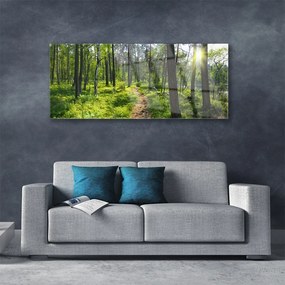 Obraz plexi Les chodník cestička príroda 125x50 cm