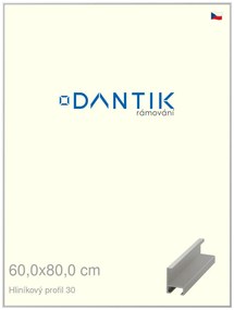 DANTIK rám na obraz 60x80 | ALU Stříbrná matná (Plexi Čiré)