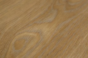 IVC Commercial, PVC podlaha - lino Logitex Ultimate 55 Elias T44, na mieru, šíře 2m,4m, hnedá, filc, chodba / predsieň