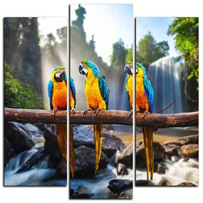 Obraz na plátne - Modro žlté Macaw - štvorec 3232C (75x75 cm)