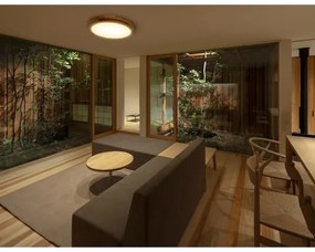 APLED - LED Stropné svietidlo RONDO LED/48W/230V pr. 50 cm dub