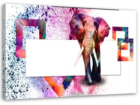 Obraz na plátně Sloní zvířata - 100x70 cm